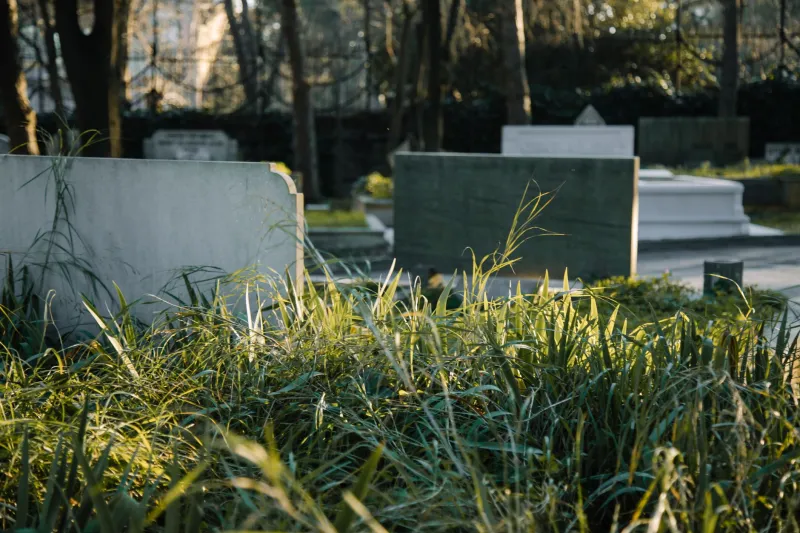 Buried and Forgotten: What Jersey City's Neglected Cemeteries Reveal About Who Gets Remembered